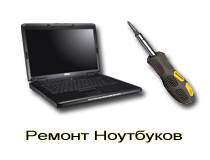 Ремонт ноутбуков и нетбуков в Павловском Посаде